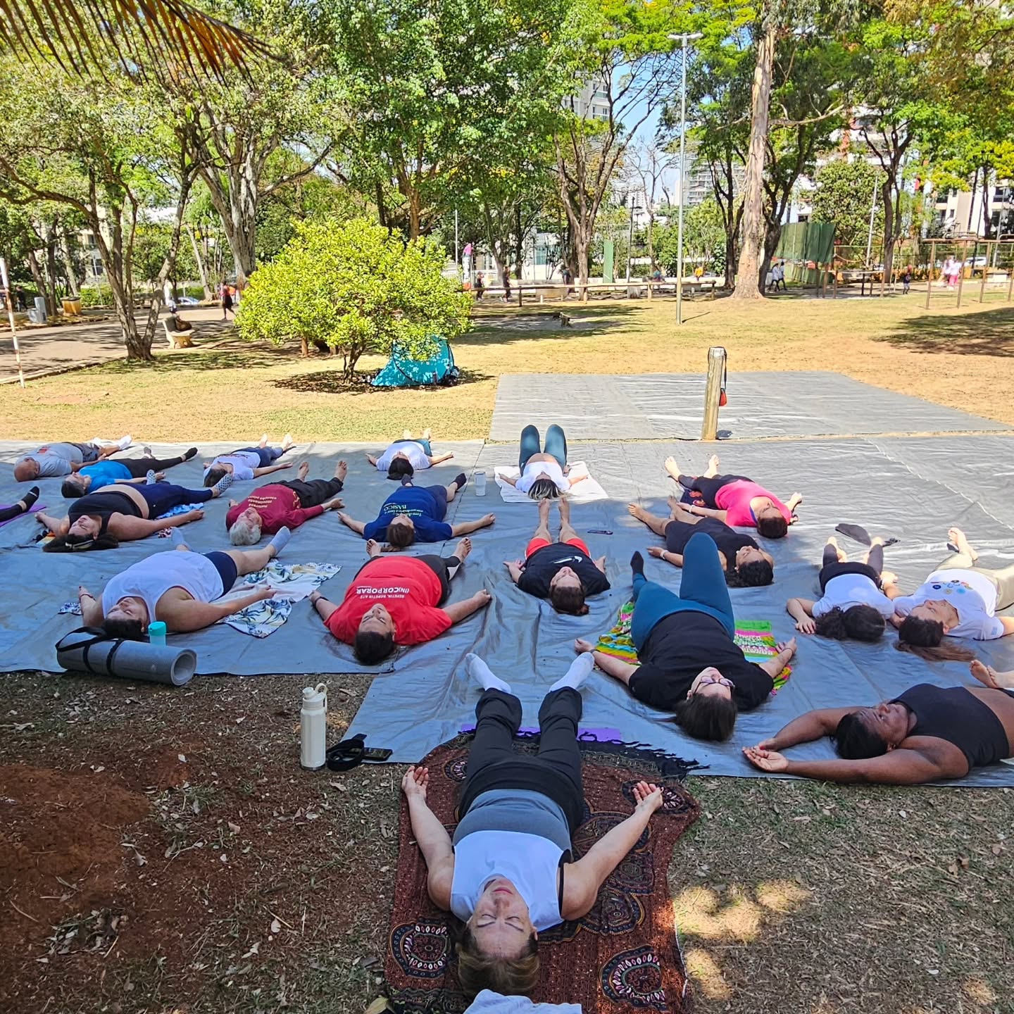 Vitalidade e Energia